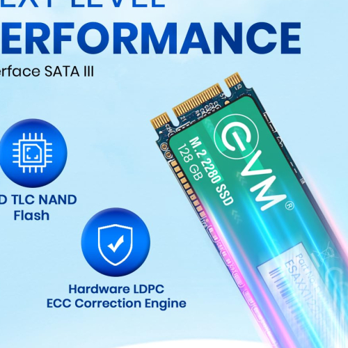 EVM 128GB M.2 (2280) SATA Internal SSD - 520MB/s Read &amp; 370MB/s Write - 5-Year Warranty (EVMM2/128GB)