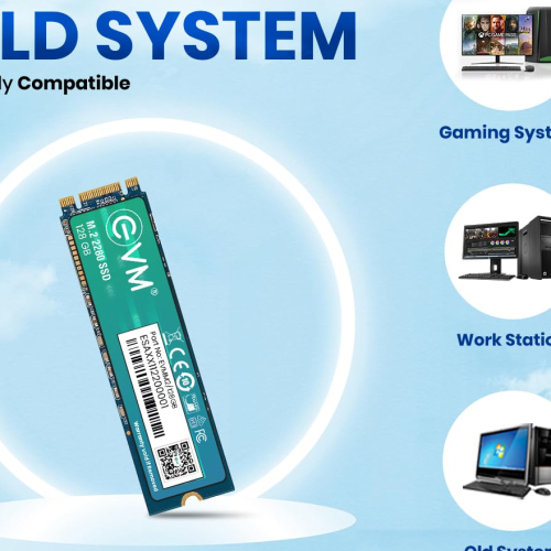 EVM 128GB M.2 (2280) SATA Internal SSD - 520MB/s Read &amp; 370MB/s Write - 5-Year Warranty (EVMM2/128GB)